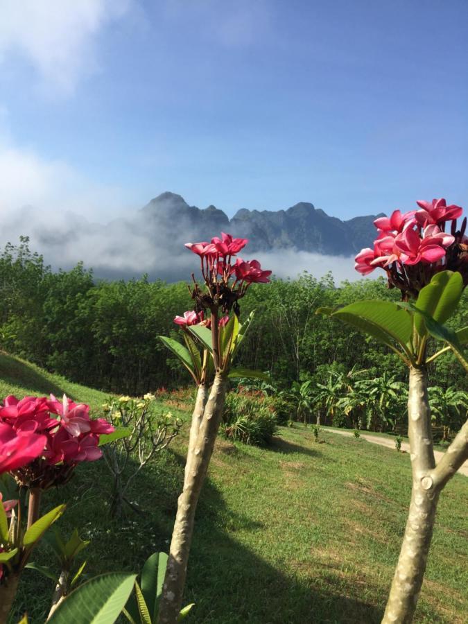 Billion Views Khaosok Homestay Khao Sok National Park Ngoại thất bức ảnh